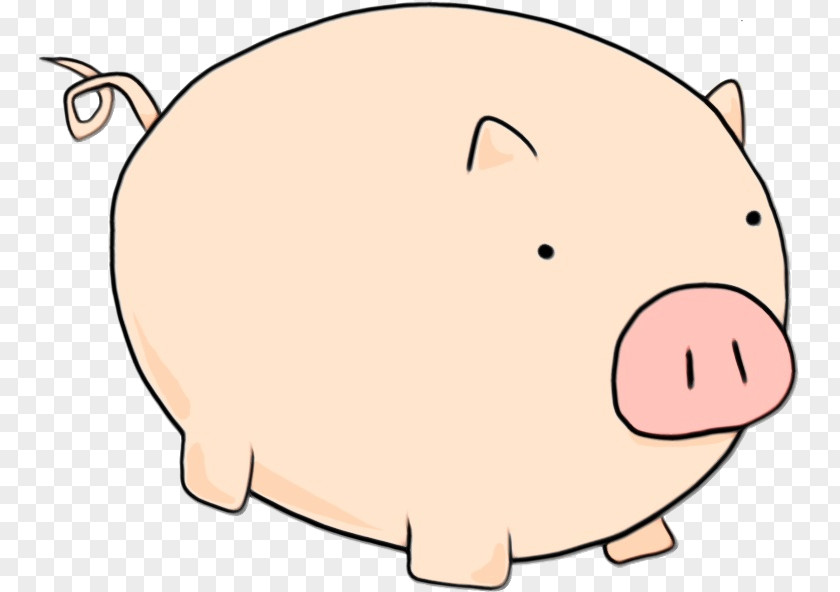 Piggy Bank Livestock PNG