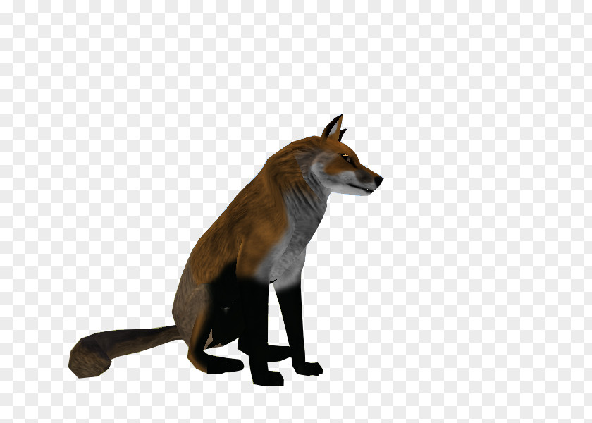 Sale Three-dimensional Characters Red Fox Fur Snout Wildlife News PNG