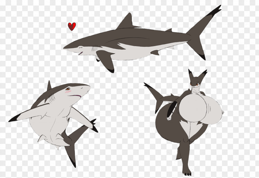 HD Shark Great White Chondrichthyes Thresher PNG