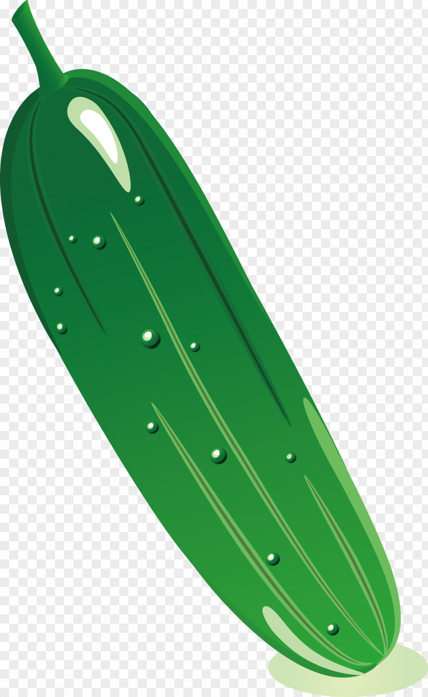 Vector Cucumber Cartoon Clip Art PNG