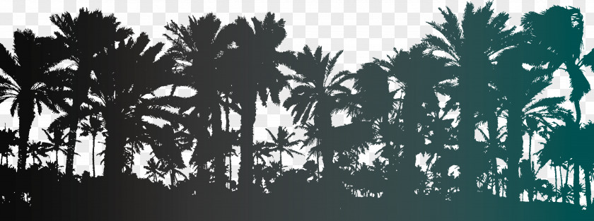 Vector Palm Trees Silhouettes Arecaceae Tree Stock Photography Illustration PNG