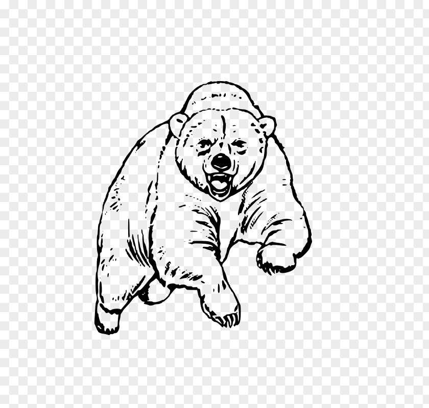 Bear Grizzly Koala Giant Panda Coloring Book PNG