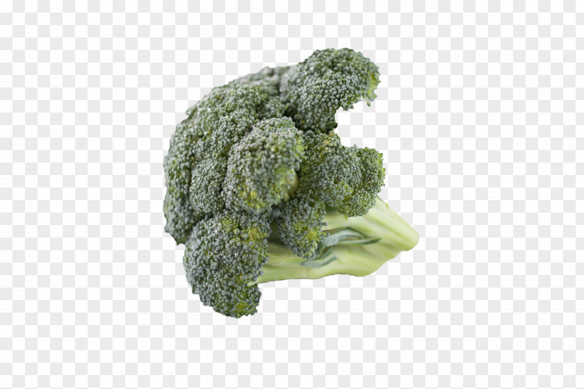 Broccoli Cream Of Soup Vegetarian Cuisine Cauliflower Cruciferous Vegetables PNG
