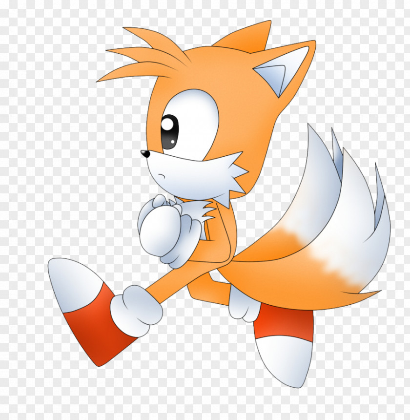 Cat Tails Sonic The Hedgehog Fox PNG
