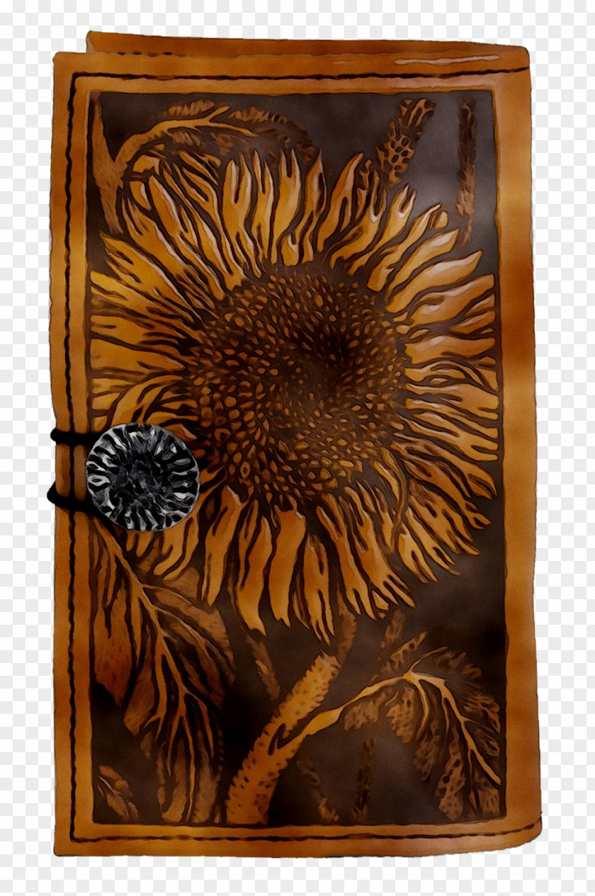 Picture Frames Sunflower Metal Rectangle Image PNG