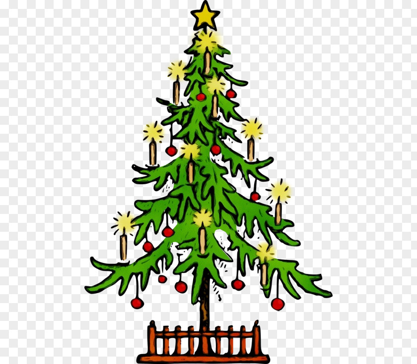 Plant Christmas Eve Tree PNG