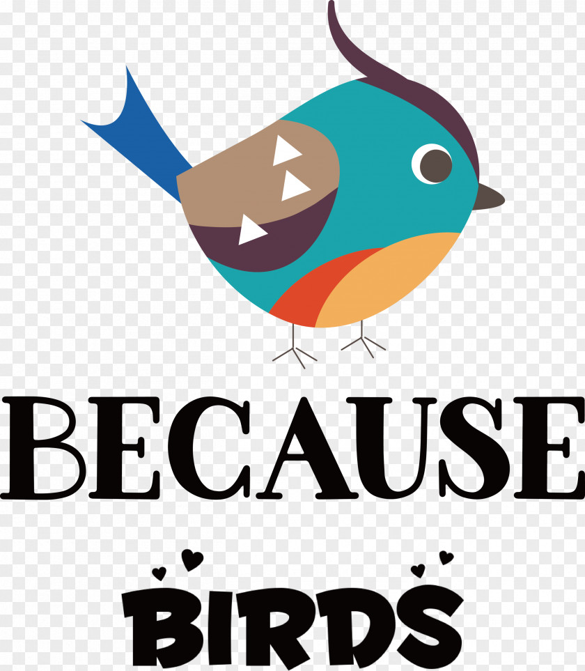 Because Birds Bird Animal PNG