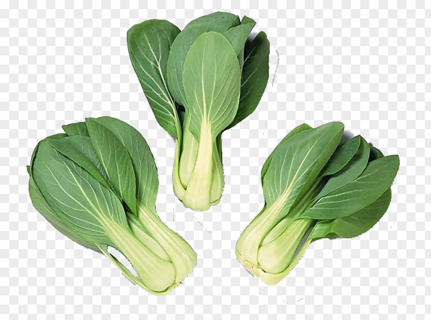Fresh Vegetables Bok Choy Brassica Juncea Napa Cabbage Vegetable Chinese PNG