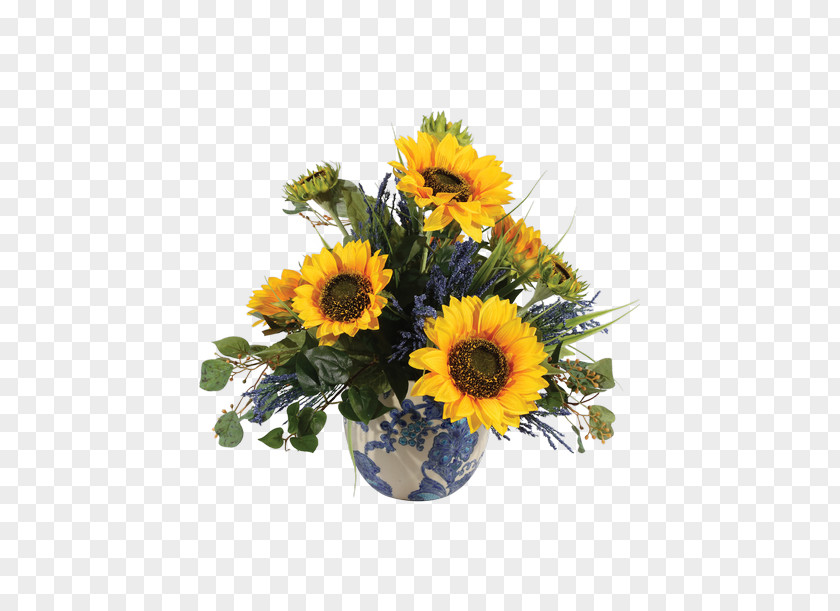 Flower Common Sunflower Floral Design Cut Flowers Transvaal Daisy PNG