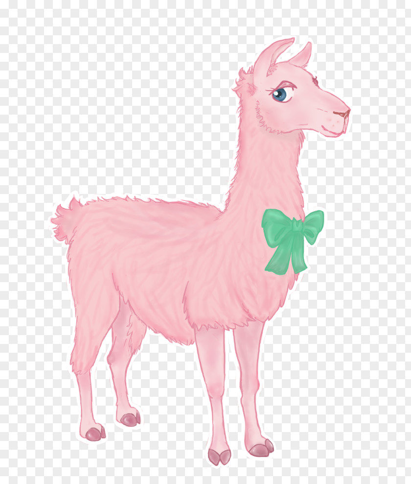 Llama Outline Alpaca Pink Pattern PNG