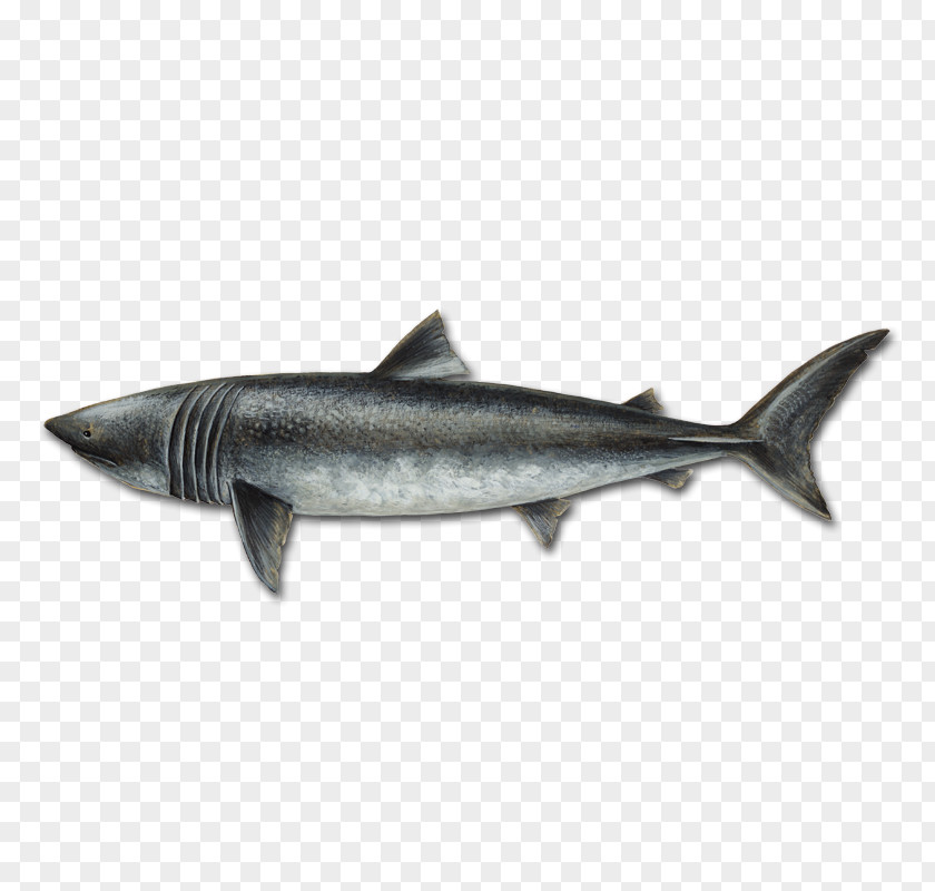 Sardine Oily Fish Coho Salmon 09777 Mackerel PNG