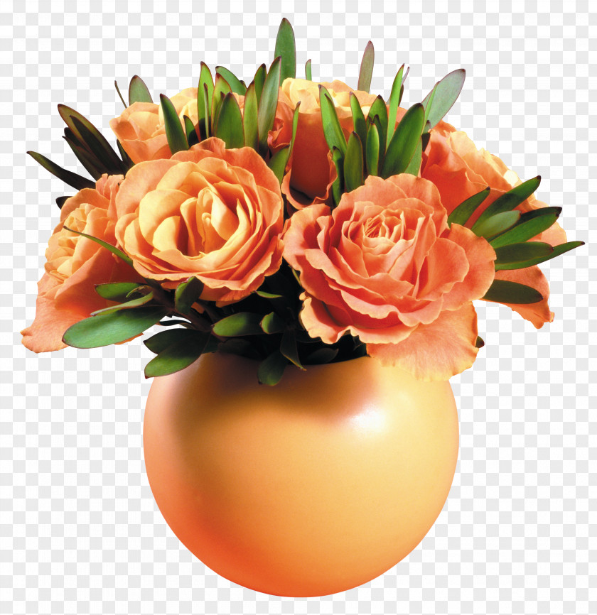 Vase Rose Flowerpot High-definition Television PNG