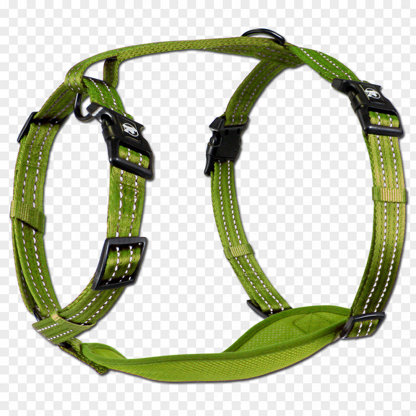 Dog Harness Leash Horse Harnesses Alcott PNG