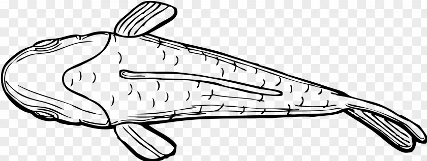 Fishing Pole Siamese Fighting Fish Drawing Clip Art PNG