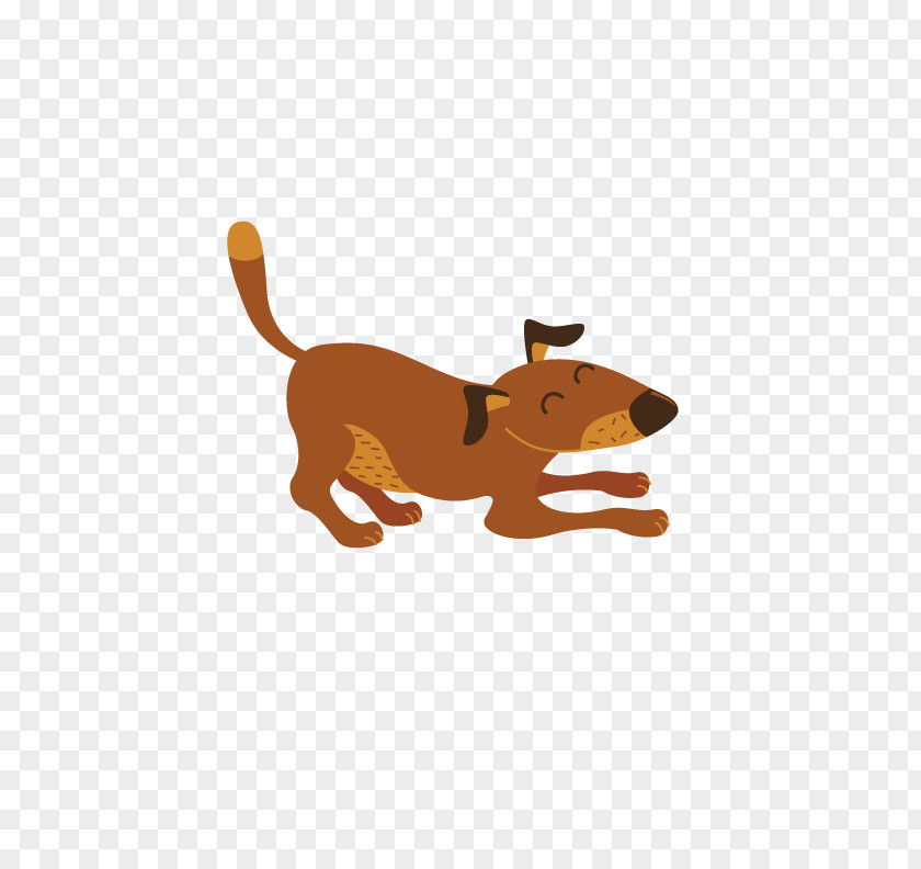 Naughty Dog Pekapoo Pekingese Yorkshire Terrier Toy Poodle Puppy PNG