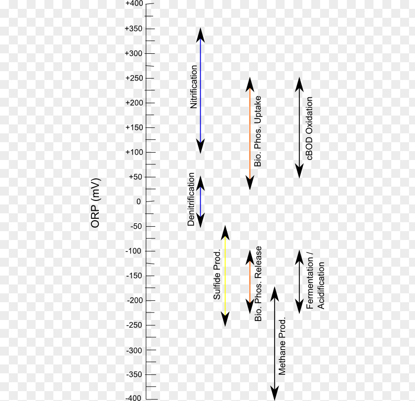 Reduction Potential Redox PH Thermodynamic Activity Anaerobic Organism PNG potential pH activity organism, table infographic clipart PNG