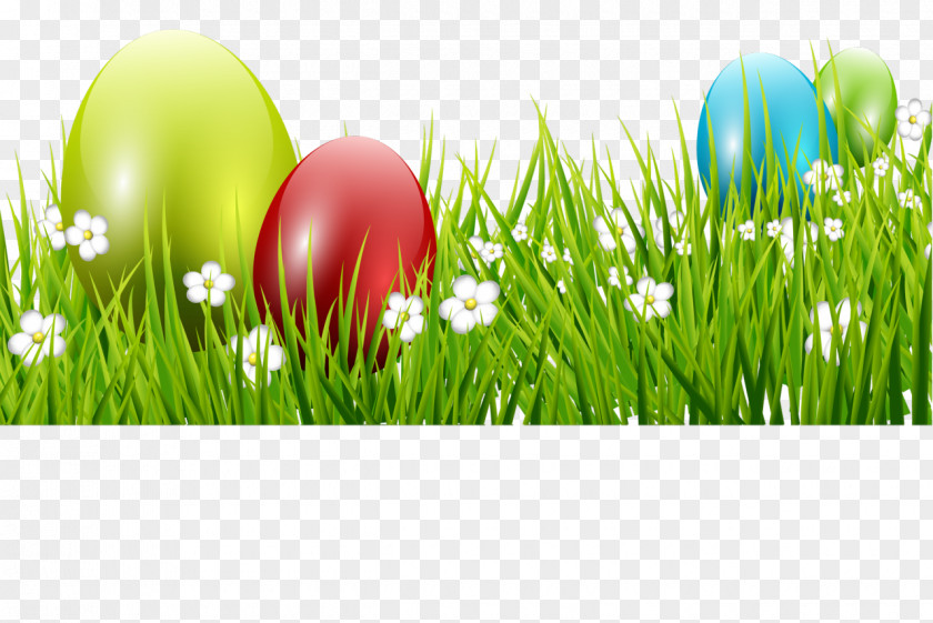 Easter Egg Holiday Greeting & Note Cards Ansichtkaart PNG