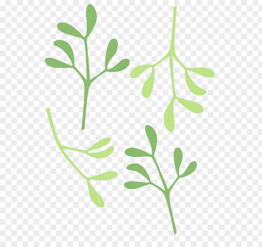 Leaf Plant Flower Stem Pedicel PNG