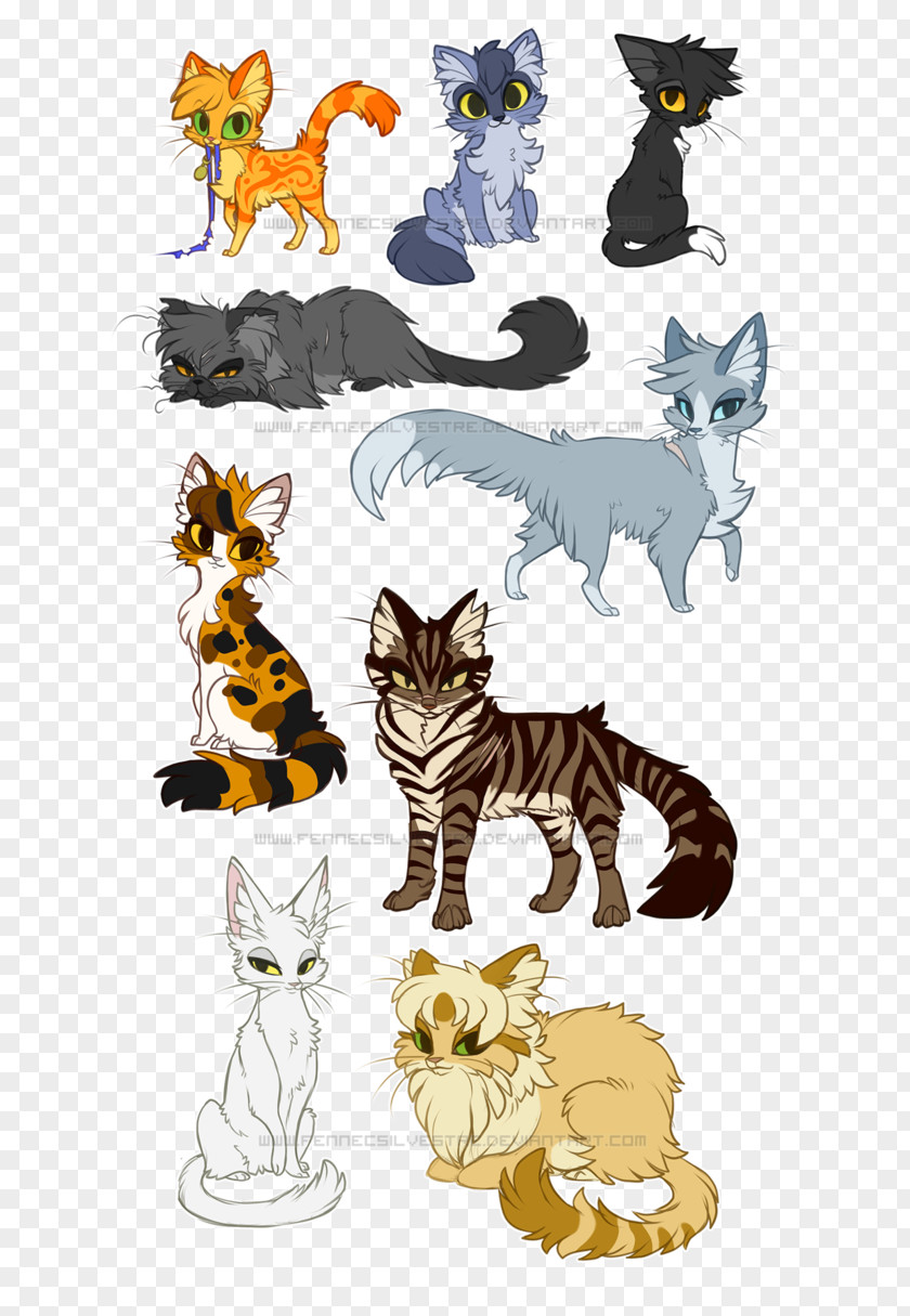Percy Jackson Kitten Into The Wild Cat Warriors PNG