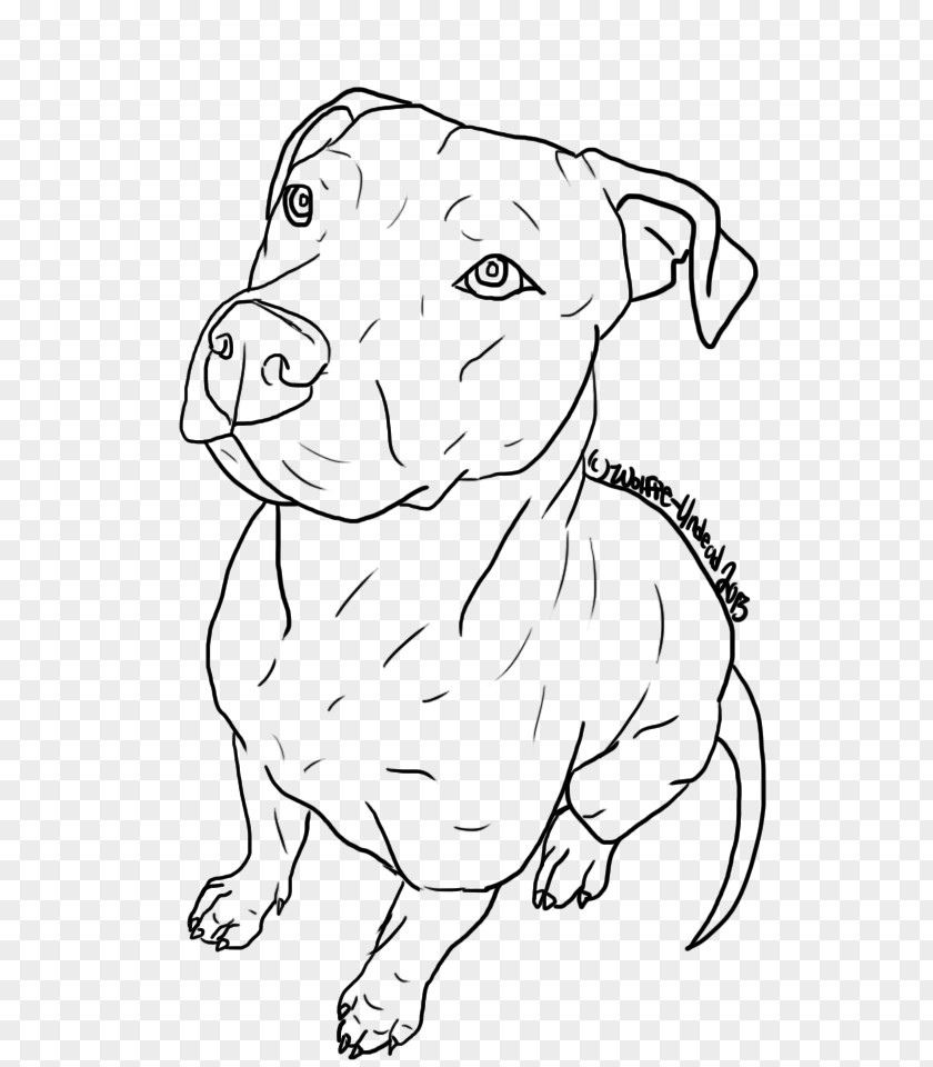 Pitbull American Pit Bull Terrier Puppy Drawing Line Art PNG