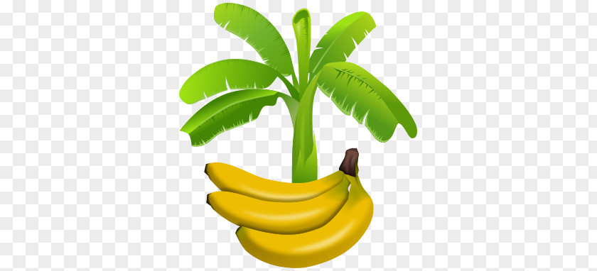 Banana Plantation Leaf Clip Art PNG