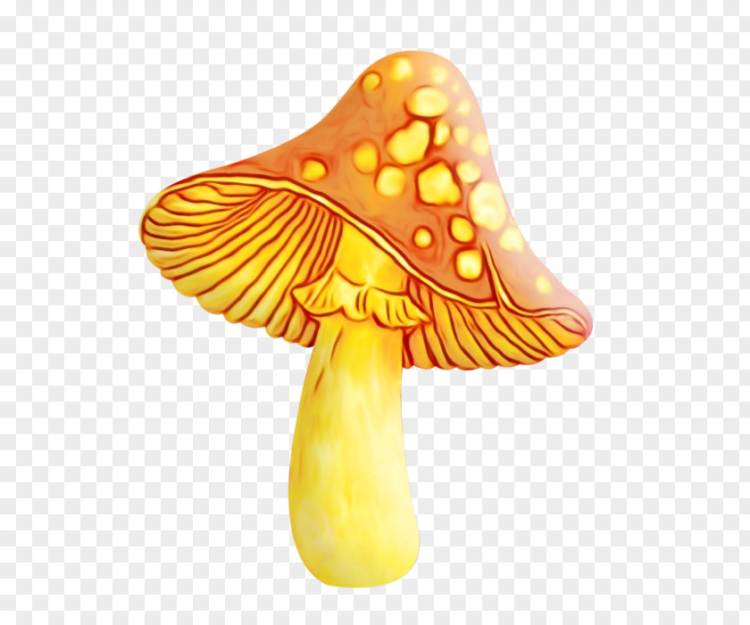 Lampshade Lamp Mushroom Cartoon PNG