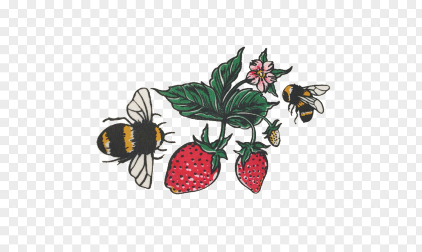 Strawberry Clip Art Insect Fruit Produce PNG