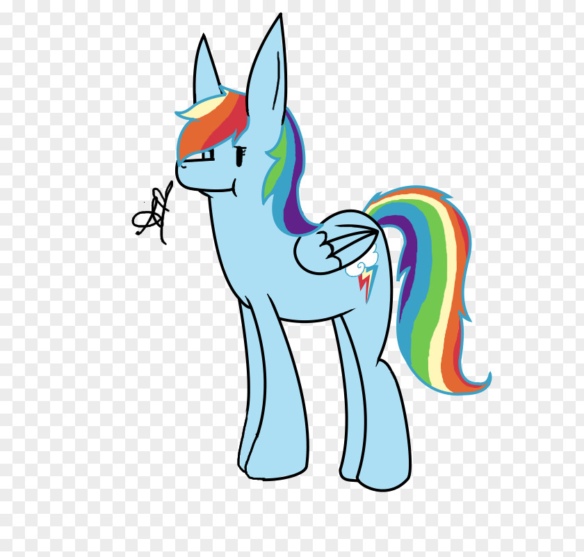 Cat Pony Rainbow Dash Pinkie Pie Fluttershy PNG