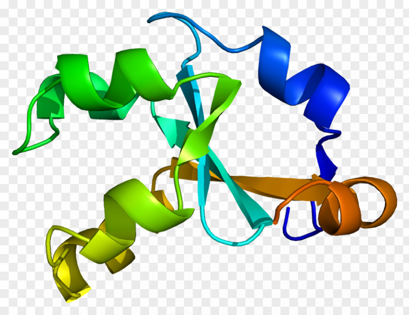 Cytochrome B5 Reductase B5, Type A Methemoglobin PNG