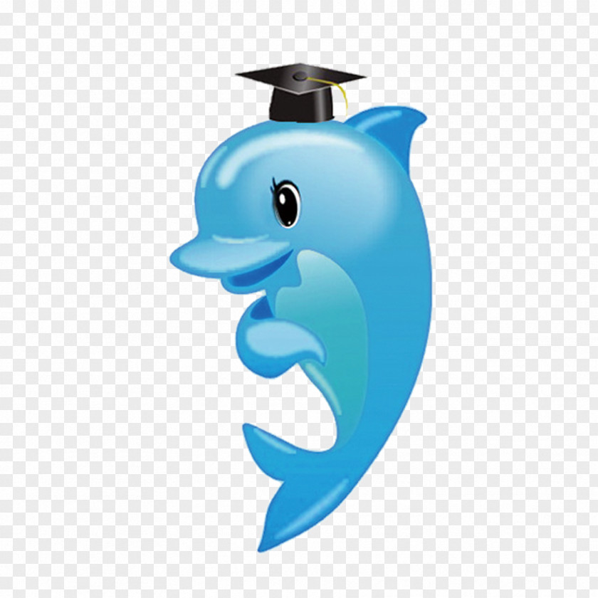 Dolphin Download Illustration PNG