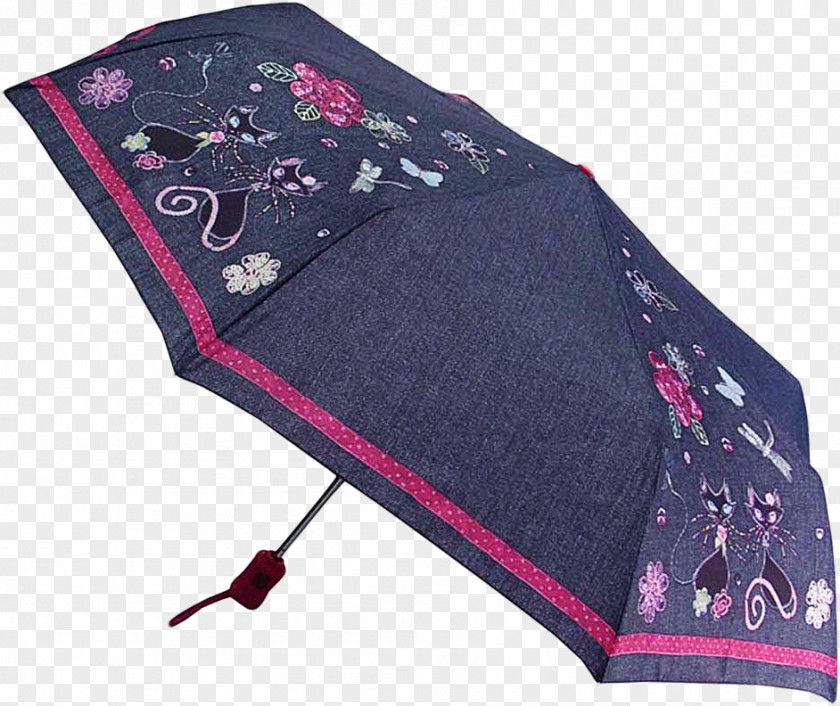 Umbrella Centimeter Purple .sk Dome PNG