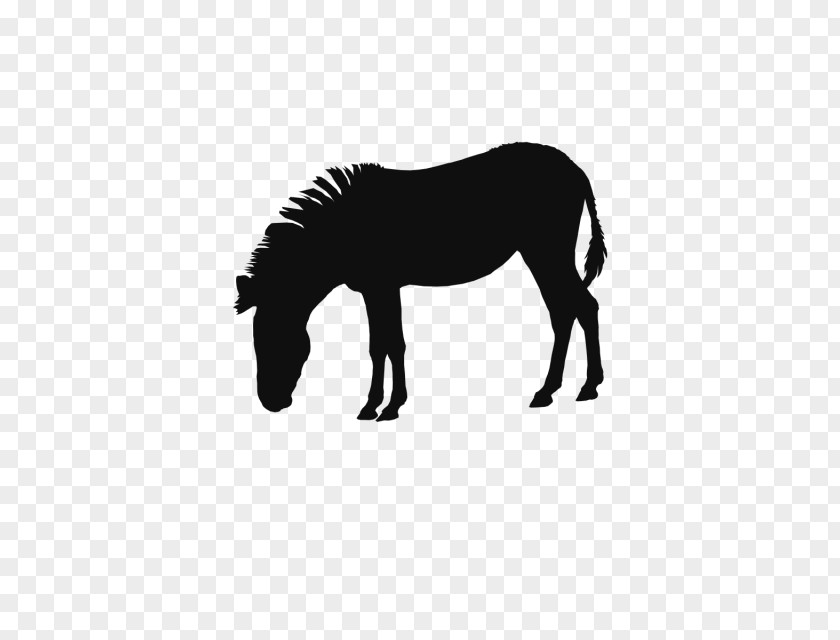 Horse Paper Mustang Graphics Pony PNG