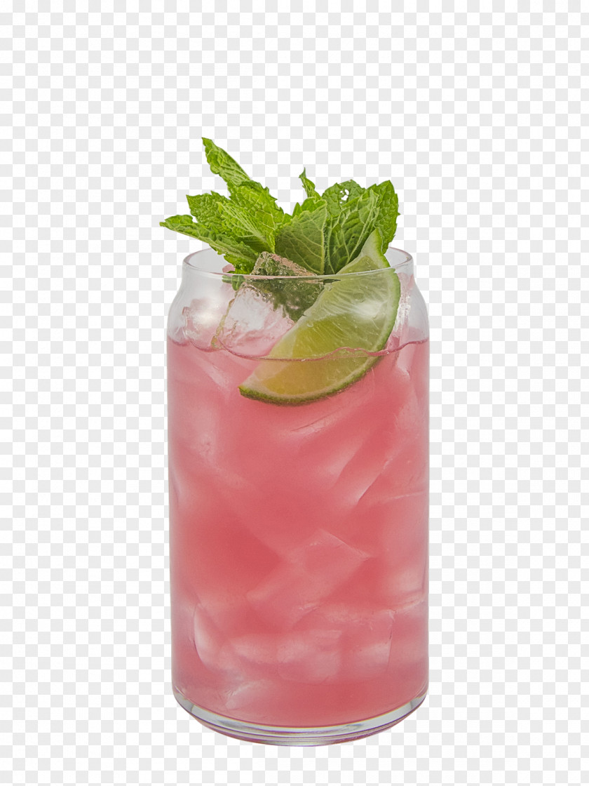 Italy Cocktail Garnish Bay Breeze Mai Tai Juice PNG