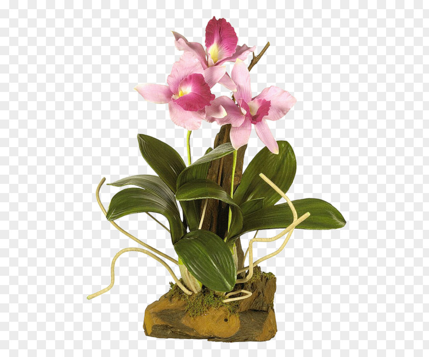 Orchid Decoration Flower Red Yellow Clip Art PNG
