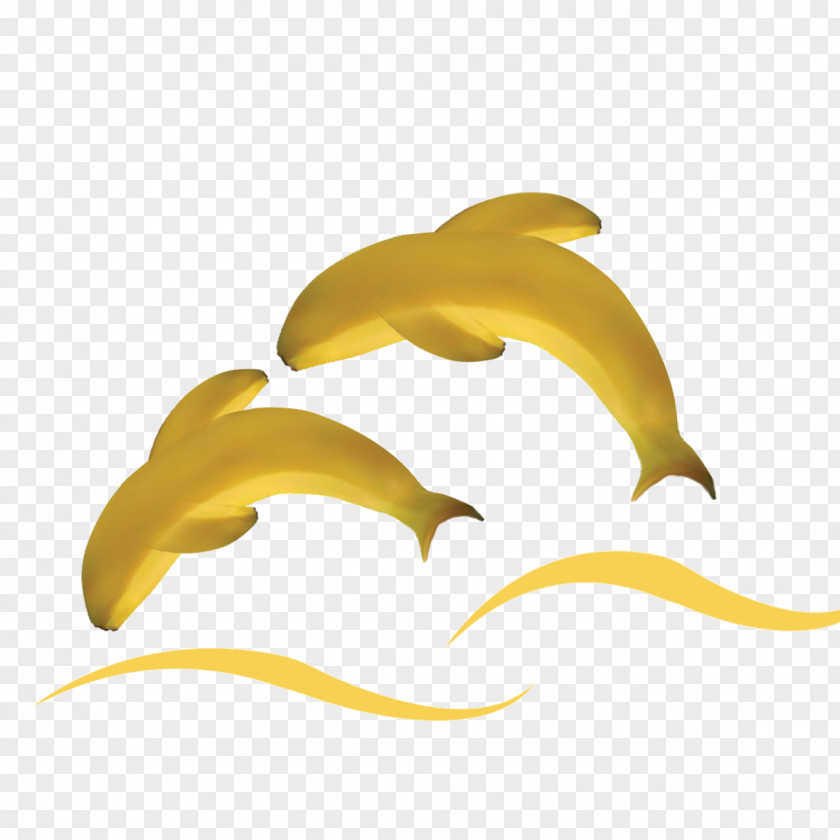Banana Fruit PNG