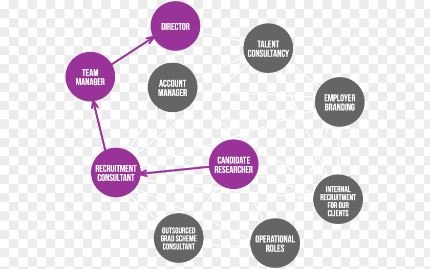 Career Path Brand Organization Diagram PNG