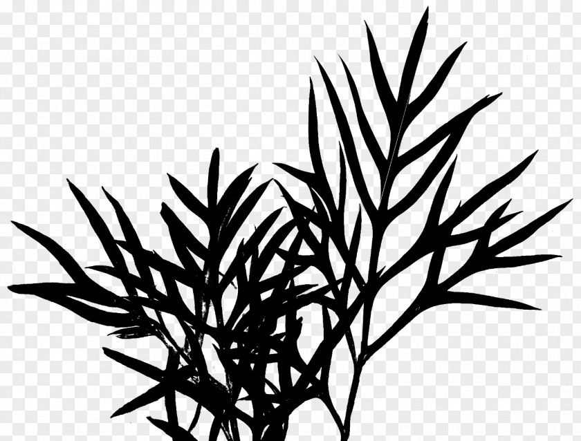 Clip Art Plant Stem Leaf Flower Commodity PNG
