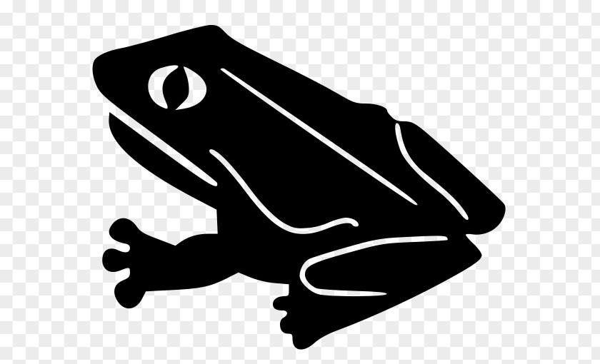 Frog Hyla Toad Tree PNG