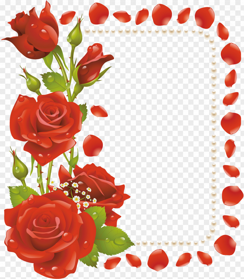Rose Picture Frames Flower Clip Art PNG