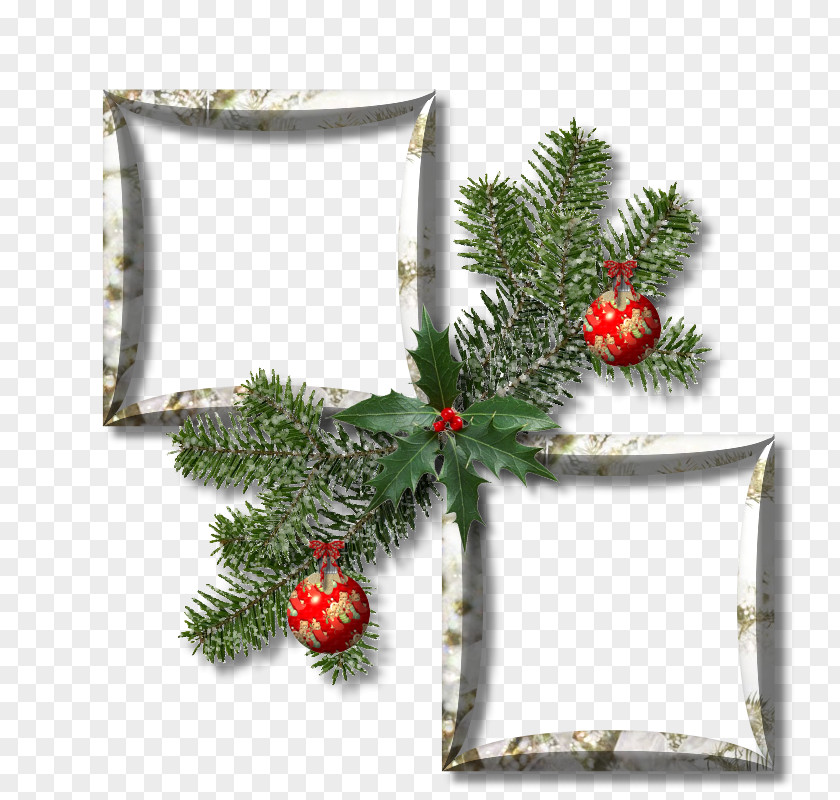 Wc Plan Picture Frames Christmas Clip Art PNG