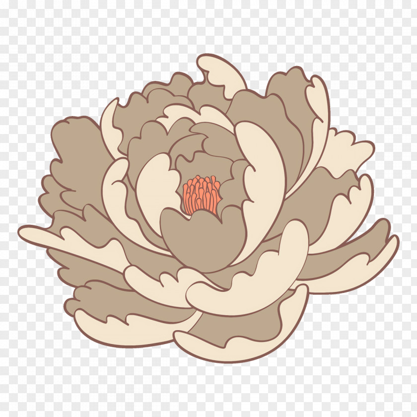 Beige Petal Leaf Echeveria Plant Flower PNG