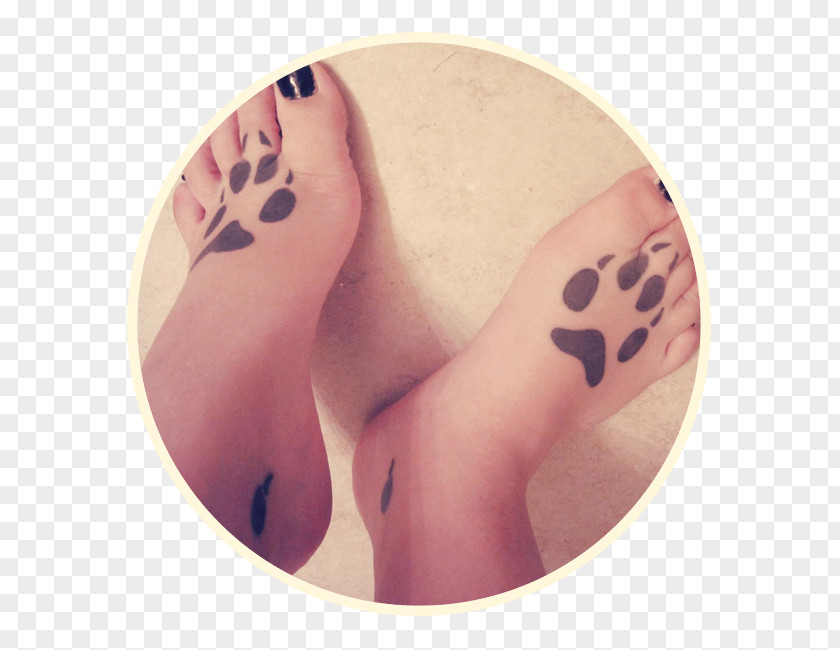 Paws Skin Abziehtattoo Nose Finger Close-up PNG