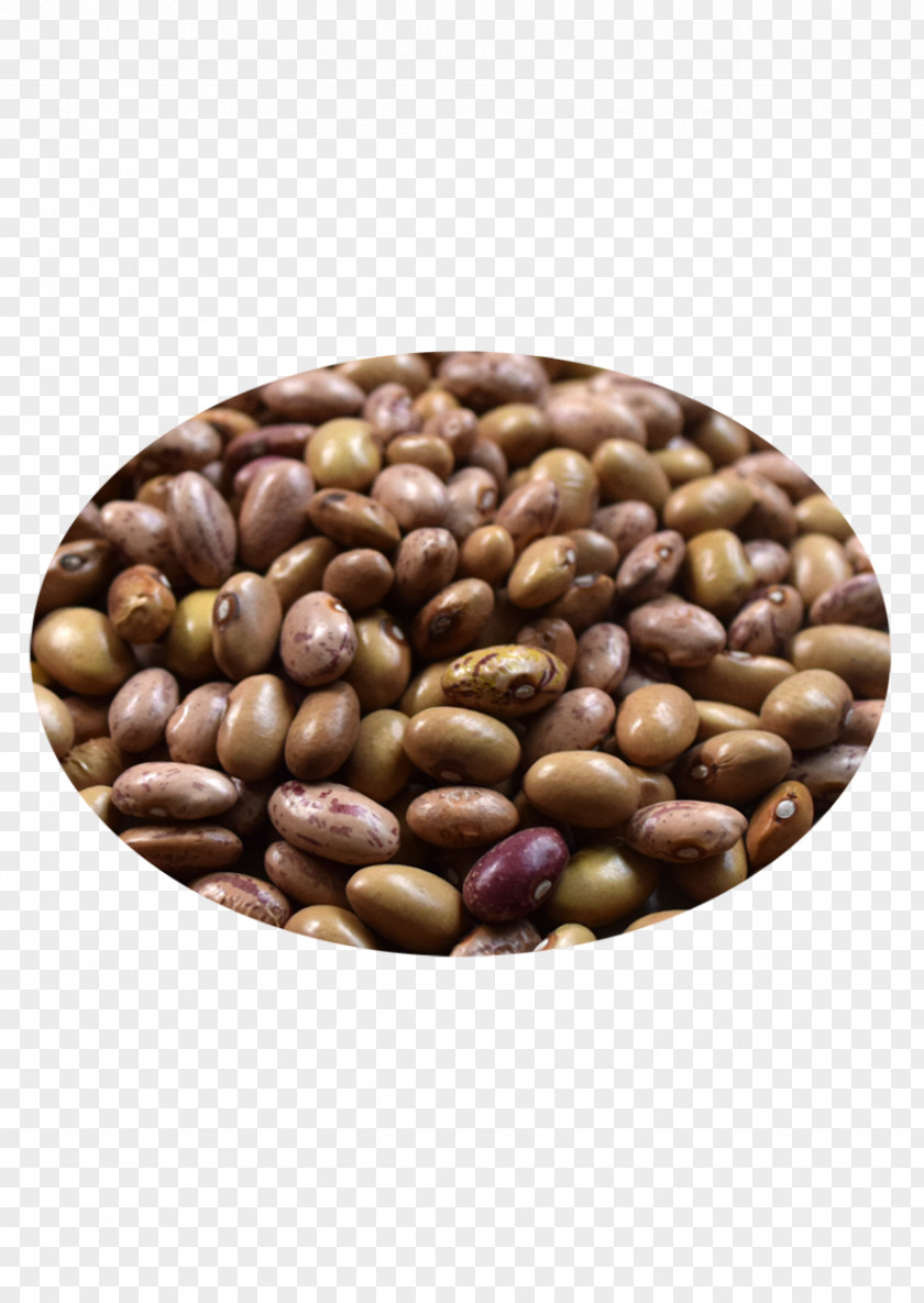 Rajma Beans Peanut Cocoa Bean Superfood Seed PNG