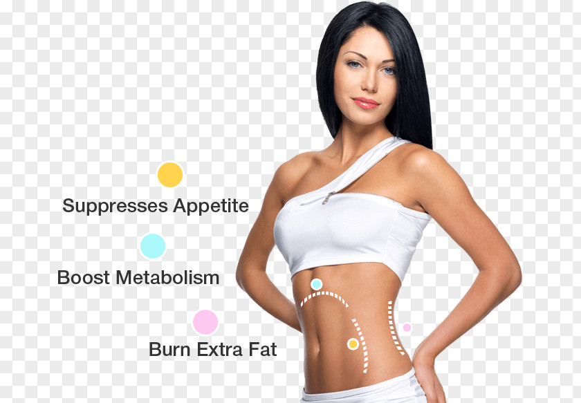 Reducing Agent Dietary Supplement Garcinia Cambogia Weight Loss Extract PNG