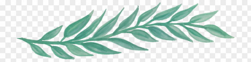 WATERCOLOR LEAF Leaf Watercolor Painting Job LinkedIn PNG