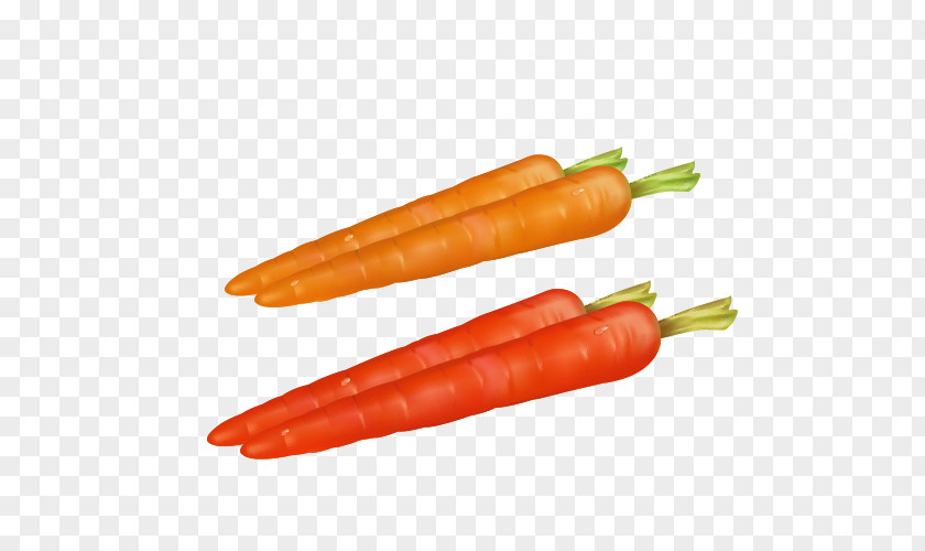 Carrot Material Baby Vegetable PNG