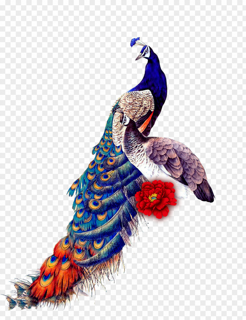 Classical Peacock Peafowl Bird IPad Mini Samsung Galaxy J7 Glass PNG