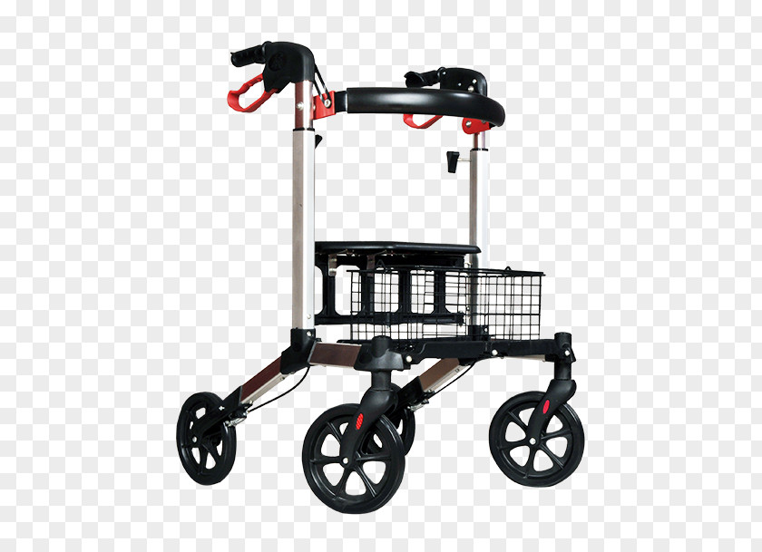 Lenore E Walker Rollaattori Wheelchair Price PNG