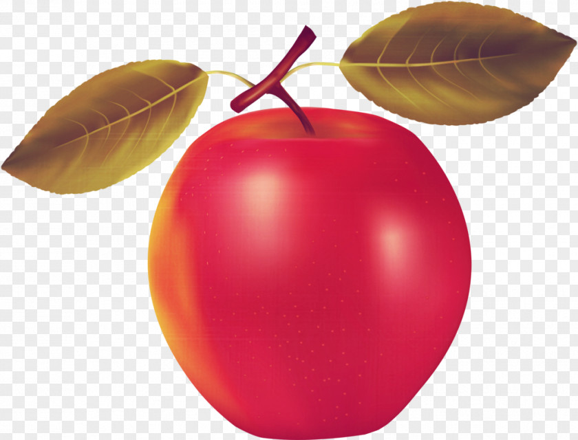 Apple Fruit Clip Art PNG