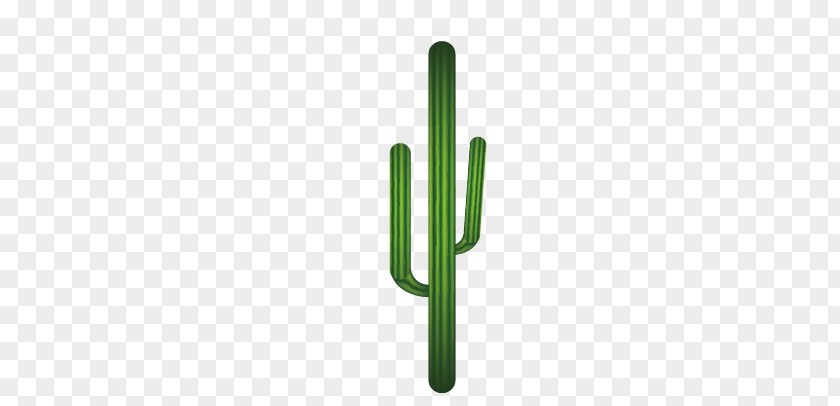 Cactus Logo Brand Font PNG